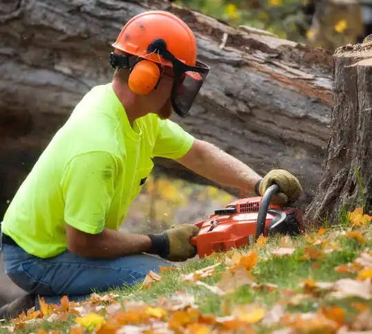 tree services Wahoo